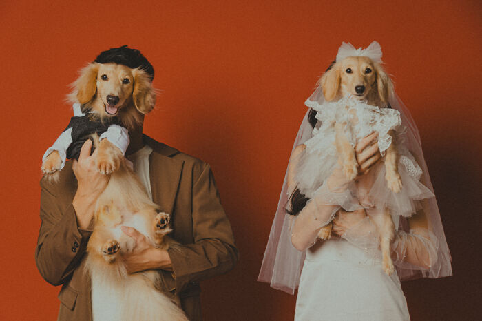 50 Wedding Photos That Perfectly Capture Emotion, Storytelling, And Joy 50 Wedding Photos That Perfectly Capture Emotion, Storytelling, And Joy