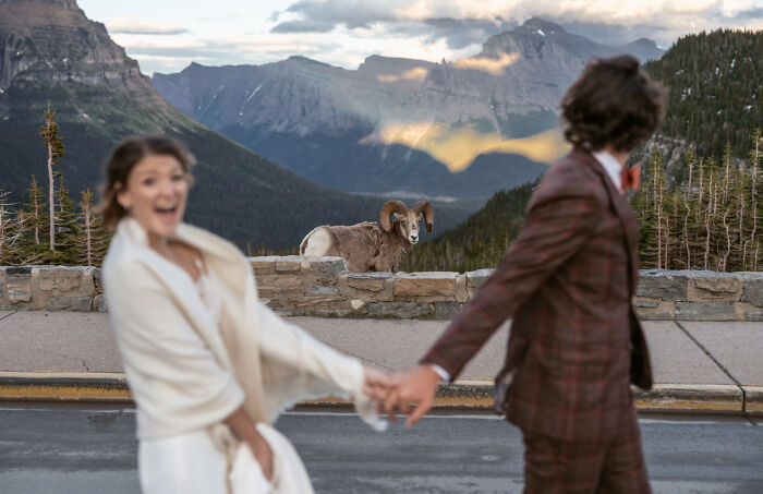 50 Wedding Photos That Perfectly Capture Emotion, Storytelling, And Joy 50 Wedding Photos That Perfectly Capture Emotion, Storytelling, And Joy