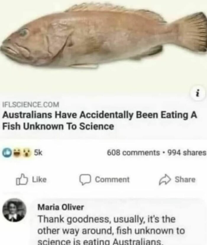 79 Funny Memes To Help You Disassociate In A Fun Way