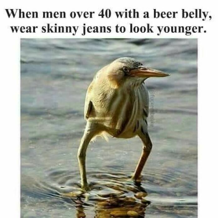 79 Funny Memes To Help You Disassociate In A Fun Way