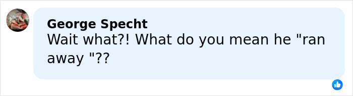 Worker Runs Away After Tragic Forklift Accident Claims CEO’s Life: “He Was On His Phone”