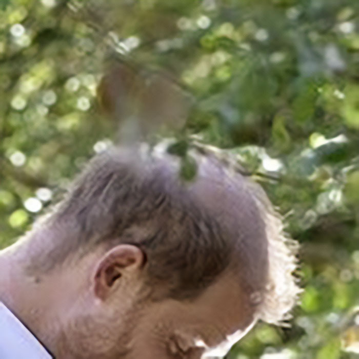 Prince Harry And Meghan Markle’s Holiday Snap Slammed As “Manipulation” After Fans Spot Details