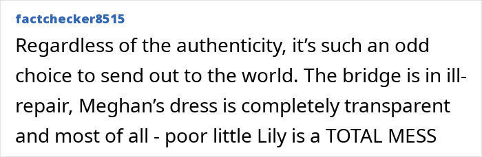 Prince Harry And Meghan Markle’s Holiday Snap Slammed As “Manipulation” After Fans Spot Details