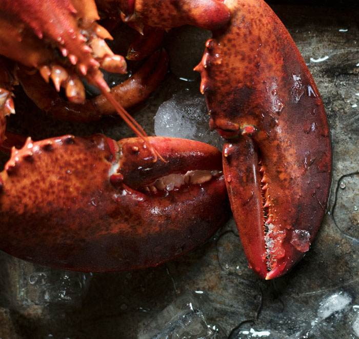 &ldquo;Actual Friendships Were Ruined&rdquo;: 80 White Elephant Gifts So Perfect, Everyone Tried To Steal Them