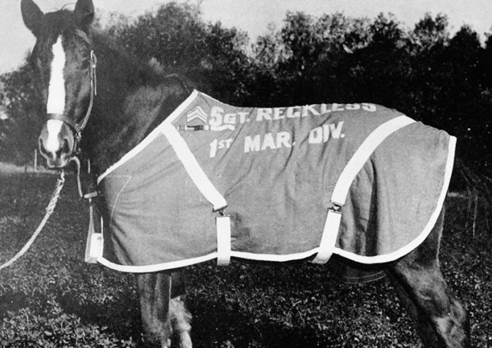 If You Like Learning The Bizarre Facts From History, Here Are 45 Really Unexpected Ones