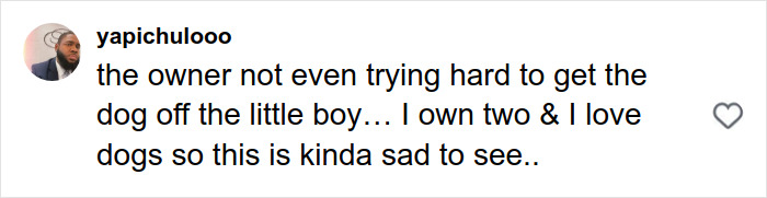 Pit Bull Attacks Toddler On Packed Manhattan Street, Refuses To Release Grip