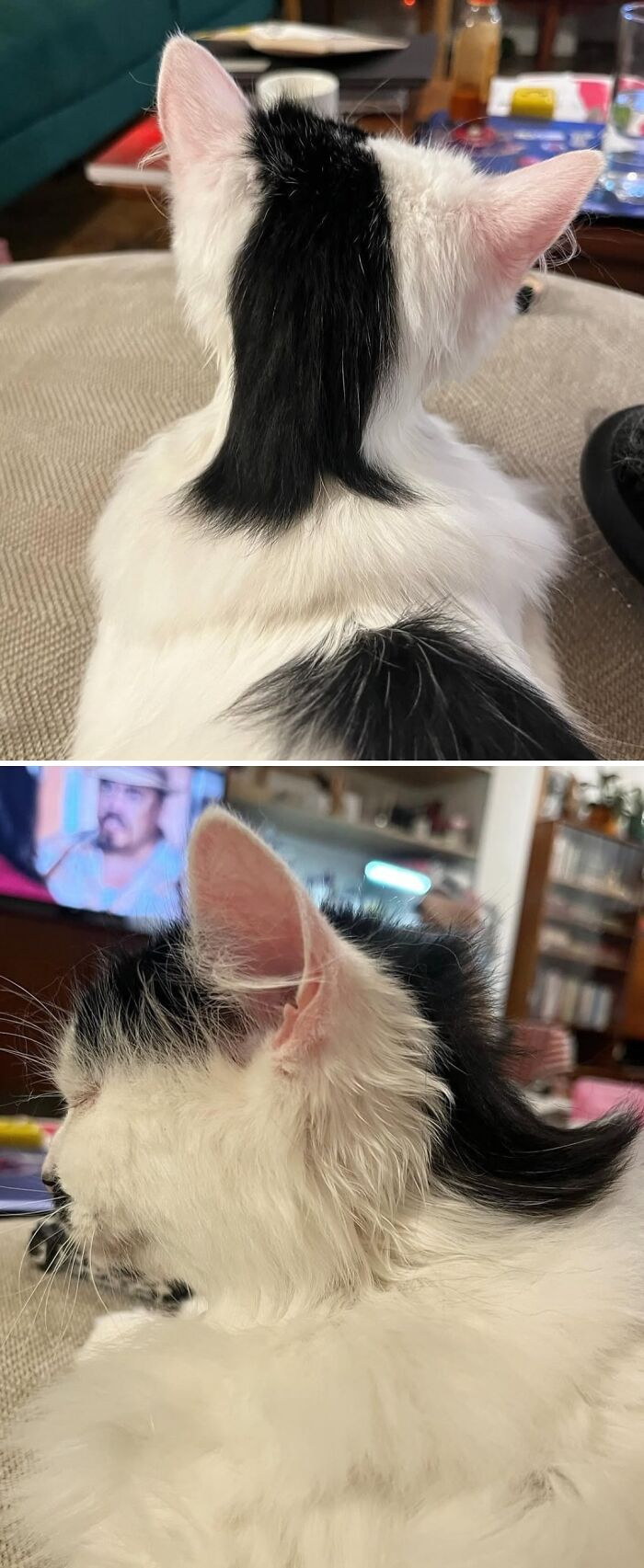 “Spill Now”: 80 Photos And Facts That Might Make You See Our World In A Different Light “Spill Now”: 80 Photos And Facts That Might Make You See Our World In A Different Light