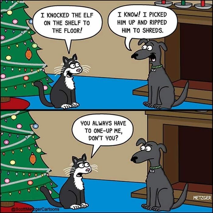 50 Funny Christmas Memes