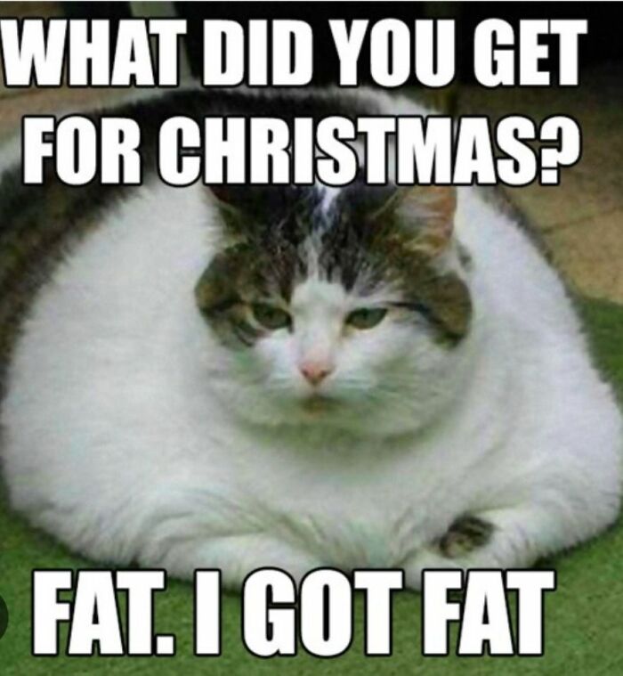 50 Funny Christmas Memes