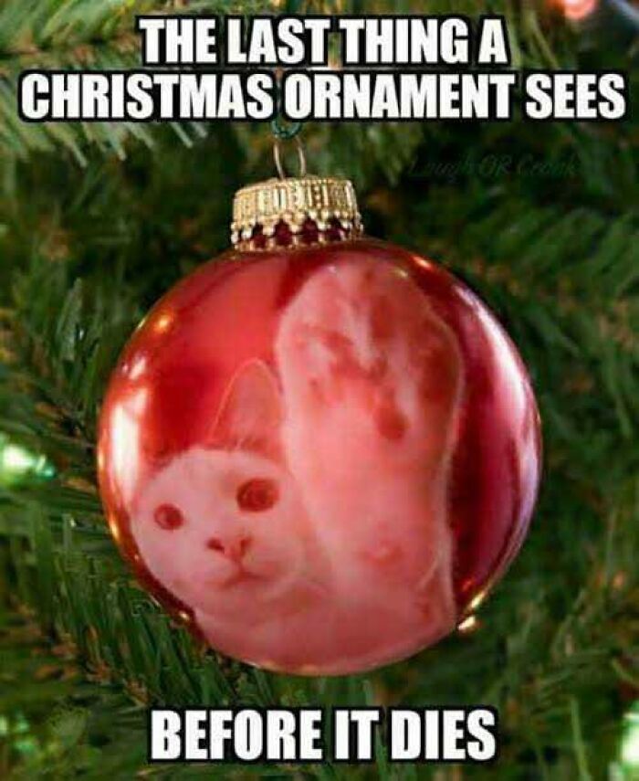 50 Funny Christmas Memes