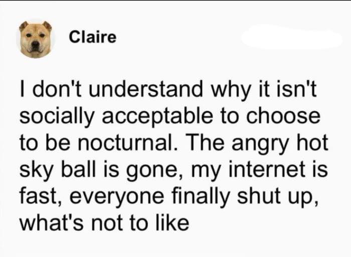 “Mother Of Sarcasm”: 80 Funny Posts That Show Humanity Shares One Collective Brain Cell