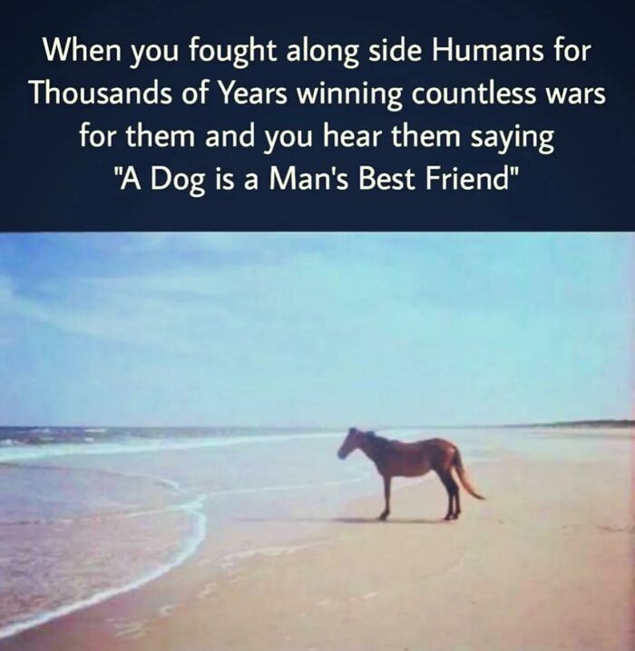 “Mother Of Sarcasm”: 80 Funny Posts That Show Humanity Shares One Collective Brain Cell