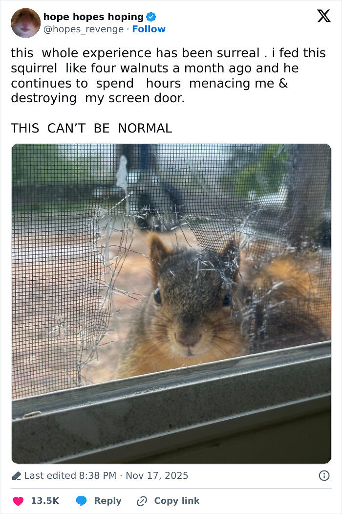 103 Funny And Wholesome Posts Featuring Animals To Cleanse Your Feed 103 Funny And Wholesome Posts Featuring Animals To Cleanse Your Feed