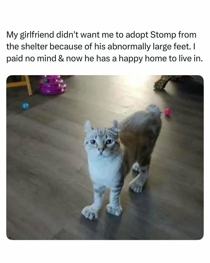 103 Funny And Wholesome Posts Featuring Animals To Cleanse Your Feed 103 Funny And Wholesome Posts Featuring Animals To Cleanse Your Feed