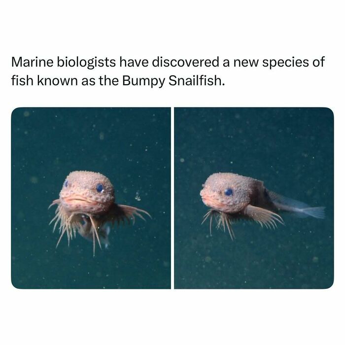 103 Funny And Wholesome Posts Featuring Animals To Cleanse Your Feed 103 Funny And Wholesome Posts Featuring Animals To Cleanse Your Feed