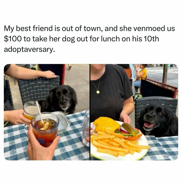 103 Funny And Wholesome Posts Featuring Animals To Cleanse Your Feed 103 Funny And Wholesome Posts Featuring Animals To Cleanse Your Feed
