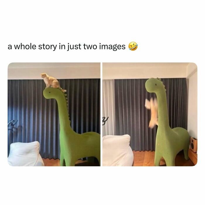 103 Funny And Wholesome Posts Featuring Animals To Cleanse Your Feed 103 Funny And Wholesome Posts Featuring Animals To Cleanse Your Feed