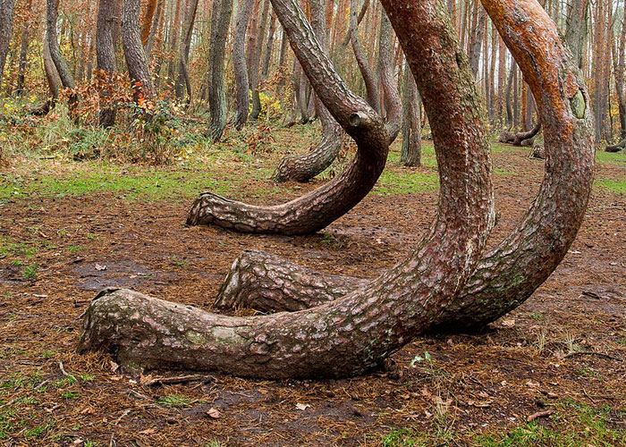 58 Places From Around The World That Look AI Generated But Are Actually Real