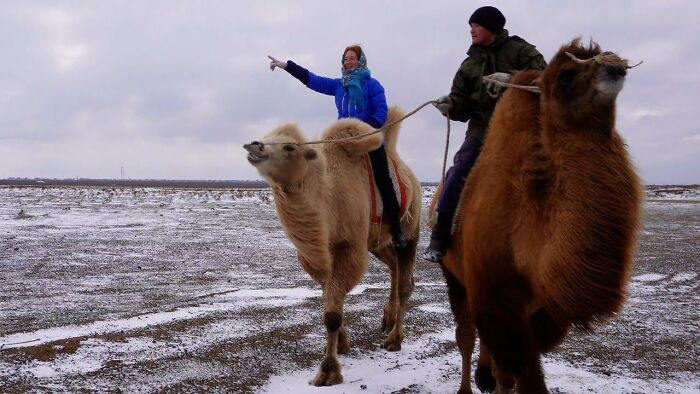 58 Places From Around The World That Look AI Generated But Are Actually Real