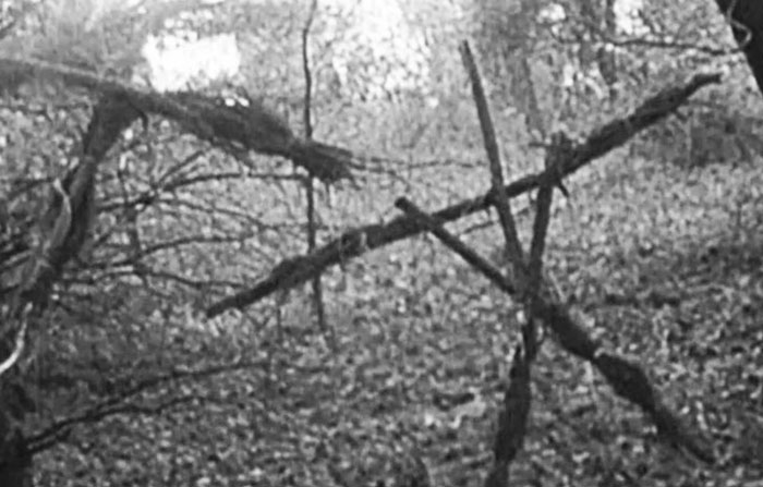 34 People Who Couldn’t Sleep For Days After Spending Time In The Woods