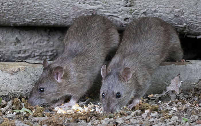 34 People Who Couldn’t Sleep For Days After Spending Time In The Woods