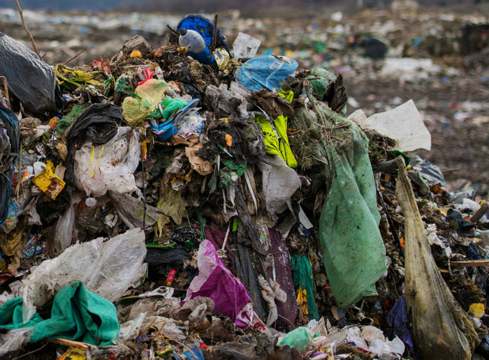 34 People Who Couldn’t Sleep For Days After Spending Time In The Woods