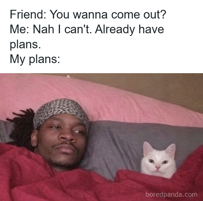 79 Animal Memes To Scroll Through While Your Pet Is Sleeping 79 Animal Memes To Scroll Through While Your Pet Is Sleeping