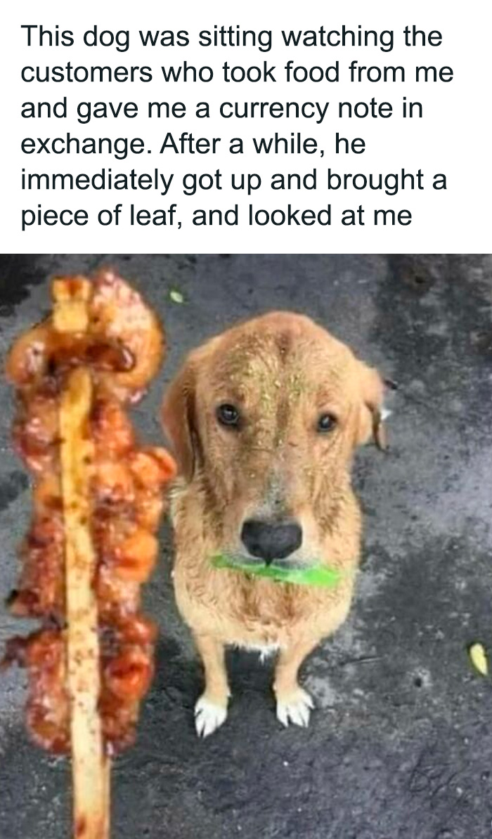 79 Sweet And Wholesome Pics To Cleanse Your Feed (New Pics)