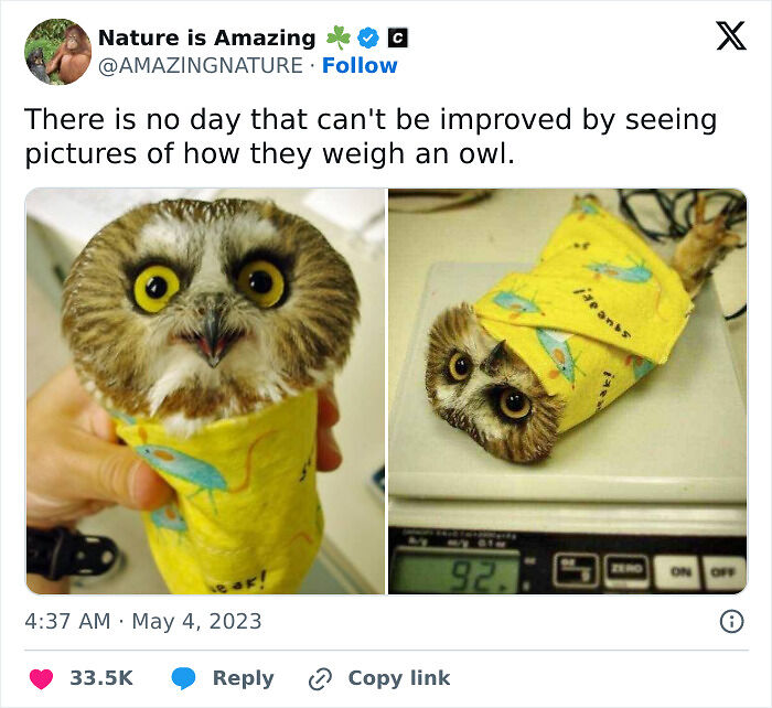 79 Sweet And Wholesome Pics To Cleanse Your Feed (New Pics)