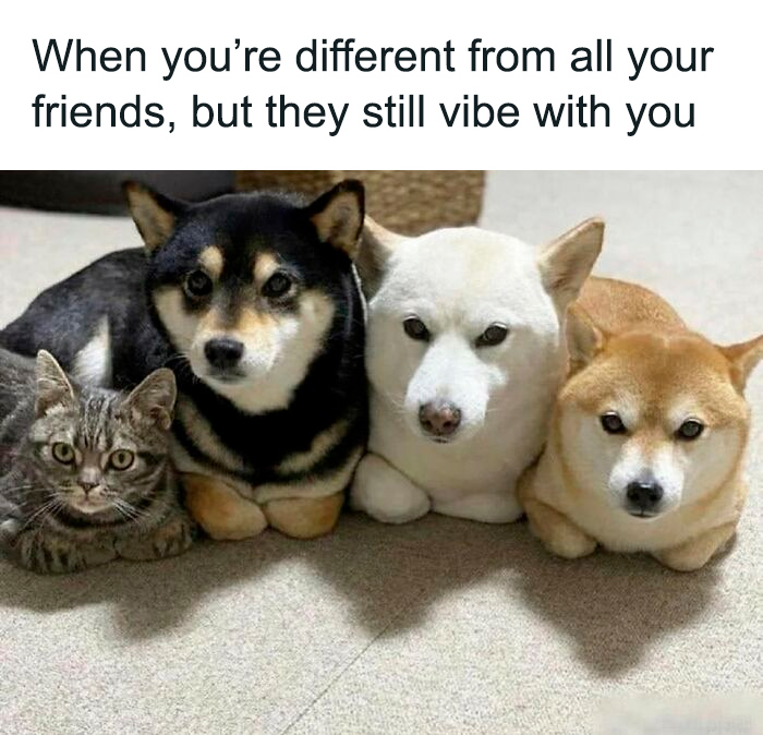 79 Sweet And Wholesome Pics To Cleanse Your Feed (New Pics)