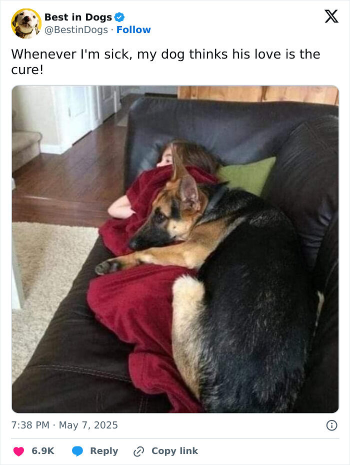 79 Sweet And Wholesome Pics To Cleanse Your Feed (New Pics)