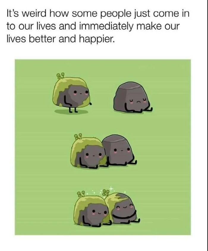 79 Sweet And Wholesome Pics To Cleanse Your Feed (New Pics)