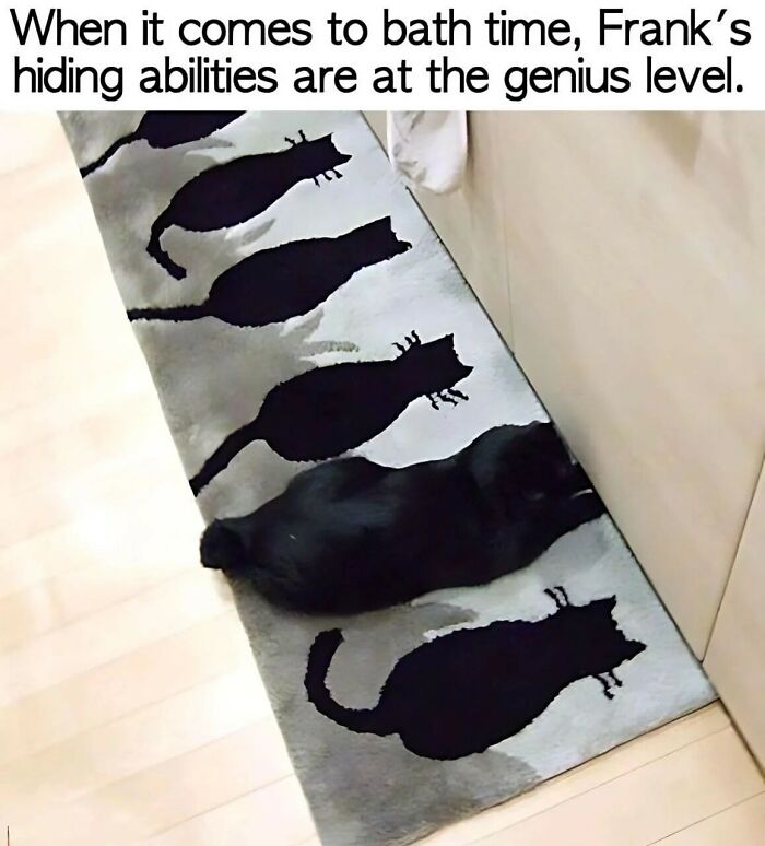 79 Sweet And Wholesome Pics To Cleanse Your Feed (New Pics)