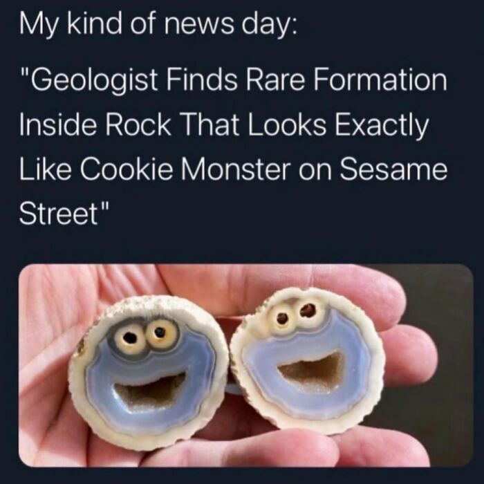 79 Sweet And Wholesome Pics To Cleanse Your Feed (New Pics)