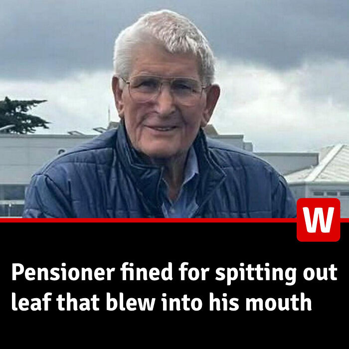 48 Local Newspaper Titles That Prove The World Is Going Mad 48 Local Newspaper Titles That Prove The World Is Going Mad