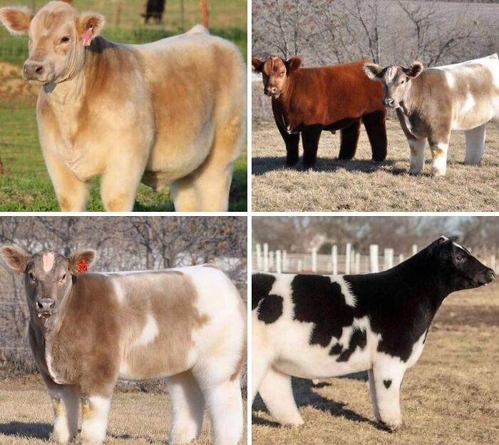 45 Times People Saw Or Learned Something So Interesting, They Had To Show The Internet (New Pics) 45 Times People Saw Or Learned Something So Interesting, They Had To Show The Internet (New Pics)