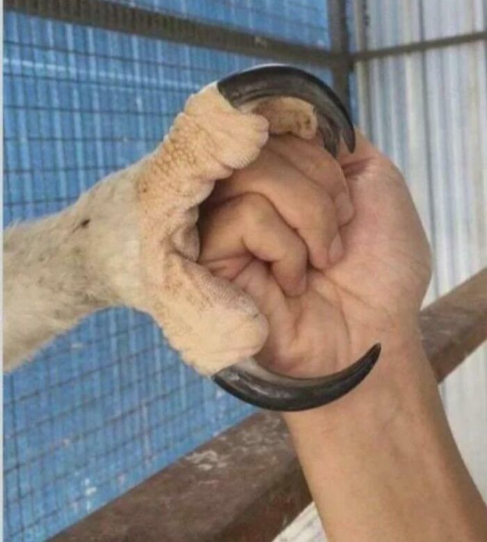 45 Times People Saw Or Learned Something So Interesting, They Had To Show The Internet (New Pics) 45 Times People Saw Or Learned Something So Interesting, They Had To Show The Internet (New Pics)