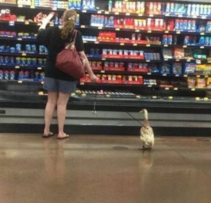 94 Pics From Walmart That Might Make You Wonder What In The World Is Going On In These Stores