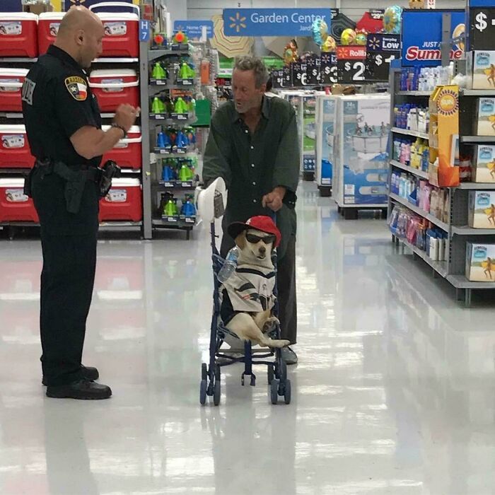 94 Pics From Walmart That Might Make You Wonder What In The World Is Going On In These Stores