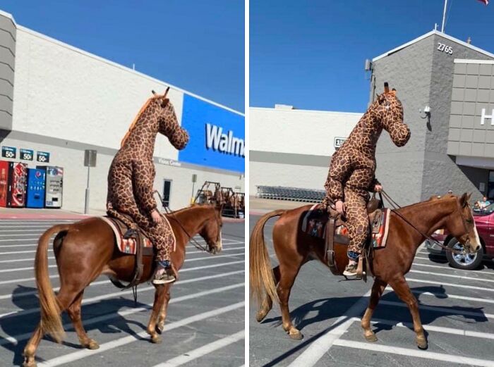 94 Pics From Walmart That Might Make You Wonder What In The World Is Going On In These Stores