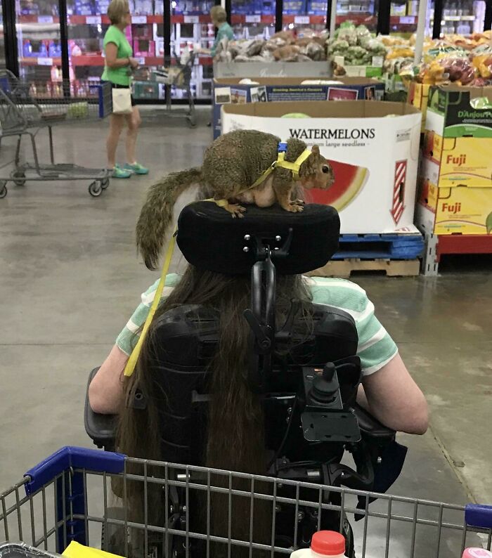 94 Pics From Walmart That Might Make You Wonder What In The World Is Going On In These Stores