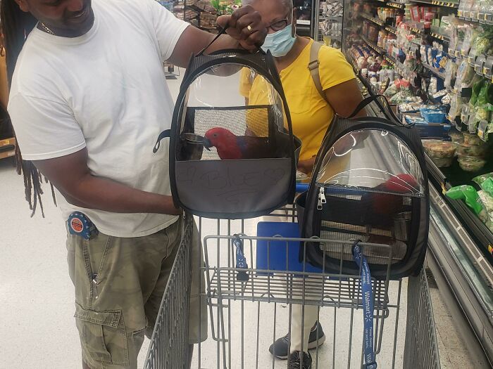 94 Pics From Walmart That Might Make You Wonder What In The World Is Going On In These Stores
