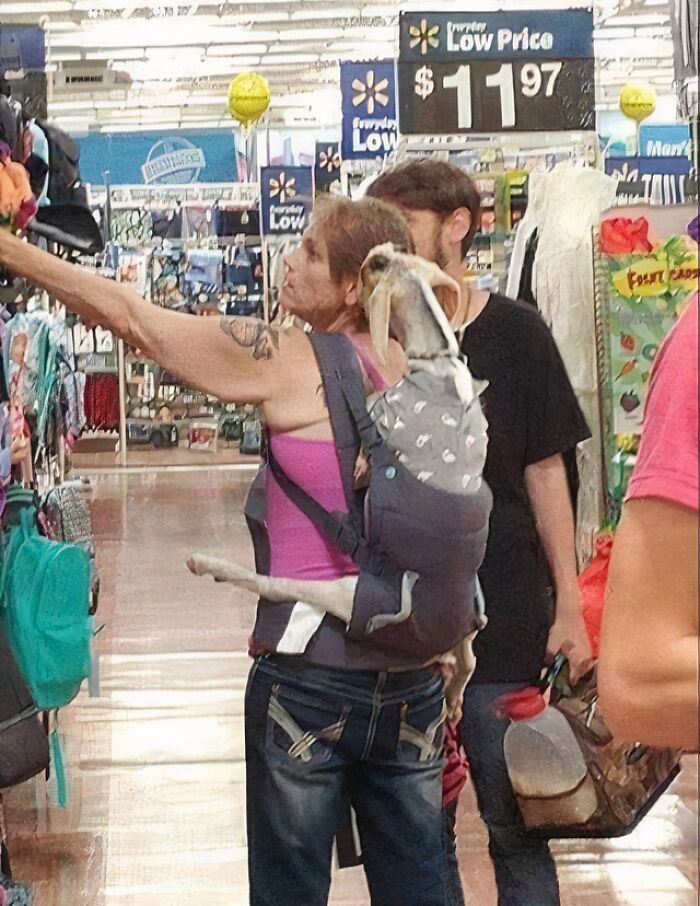 94 Pics From Walmart That Might Make You Wonder What In The World Is Going On In These Stores