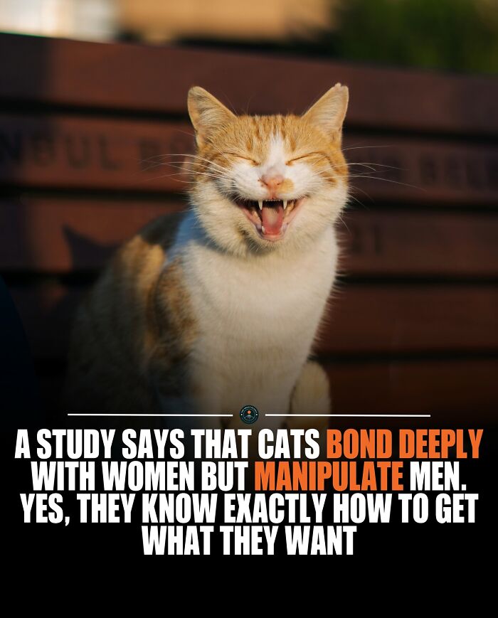 If You Are Hungry For New Knowledge And Facts About The World, Here Are 60 Posts That You Might Enjoy