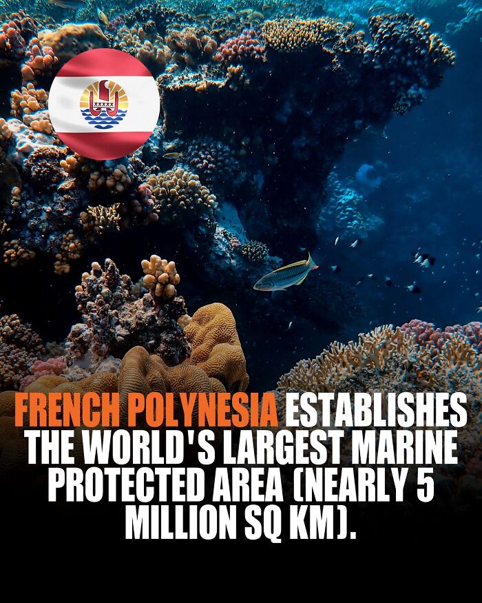 If You Are Hungry For New Knowledge And Facts About The World, Here Are 60 Posts That You Might Enjoy