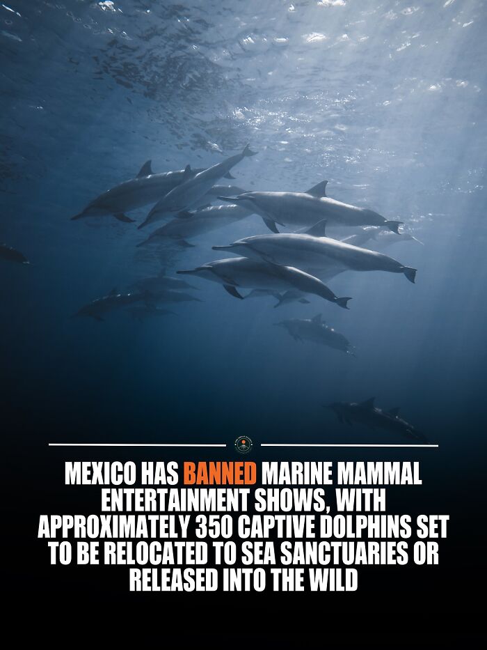 If You Are Hungry For New Knowledge And Facts About The World, Here Are 60 Posts That You Might Enjoy