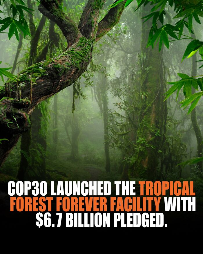 If You Are Hungry For New Knowledge And Facts About The World, Here Are 60 Posts That You Might Enjoy