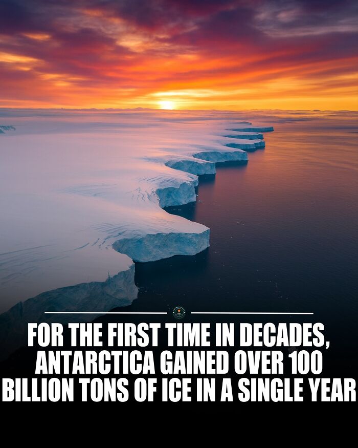 If You Are Hungry For New Knowledge And Facts About The World, Here Are 60 Posts That You Might Enjoy