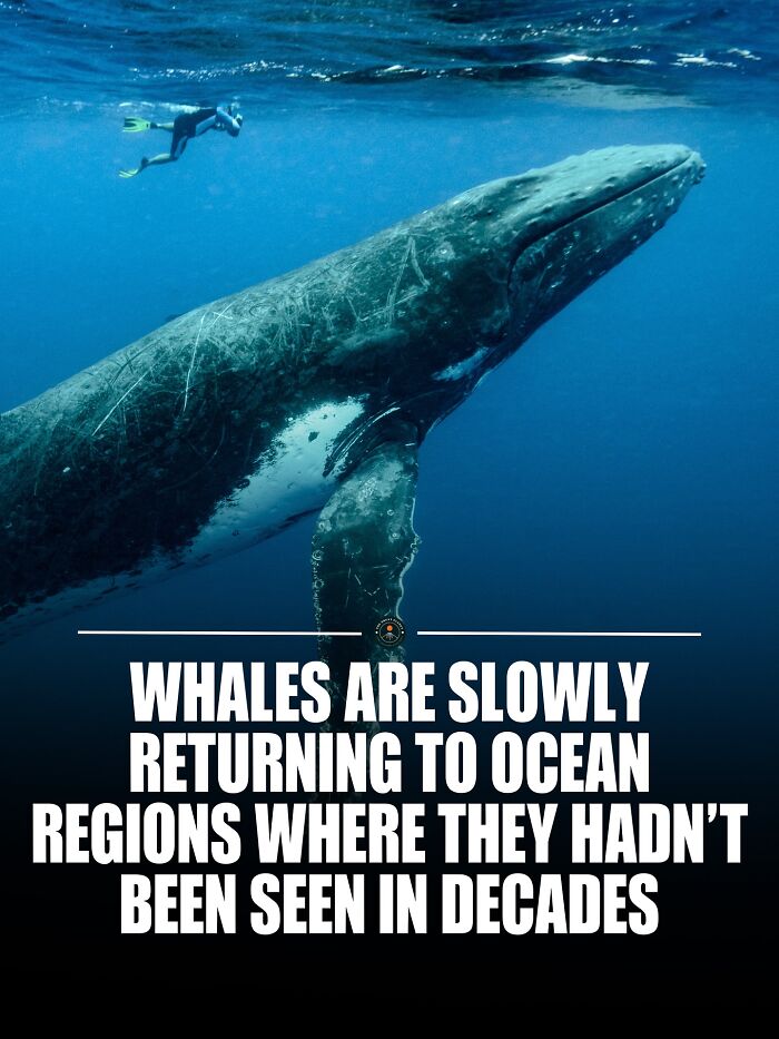 If You Are Hungry For New Knowledge And Facts About The World, Here Are 60 Posts That You Might Enjoy