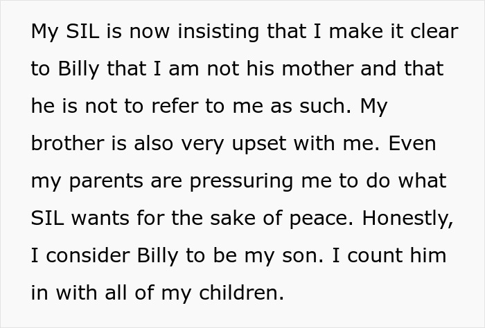 Woman Lets Her Nephew Call Her Mom, His Bio Mom Loses It And Demands She Puts A Stop To It